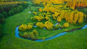 Monitoring wildlife migration