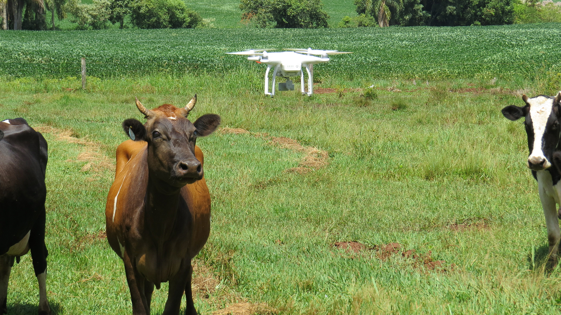 Drone-flight-recommendations-from-the-BLM