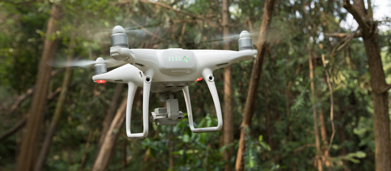 wilderness-areas-drone