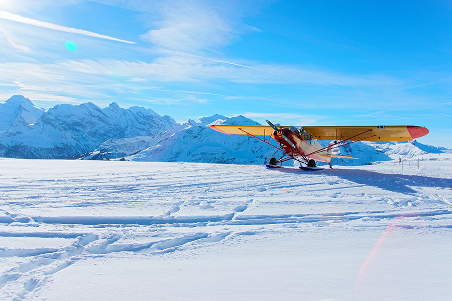 Ski-Landing-Gear-Configuration